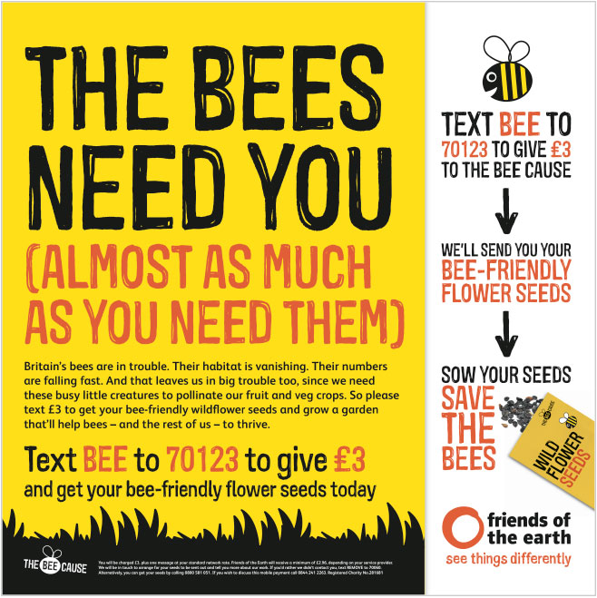 A packet of seeds inspires donors to give cash and then grow plants to support bees. Image copyright: Open 