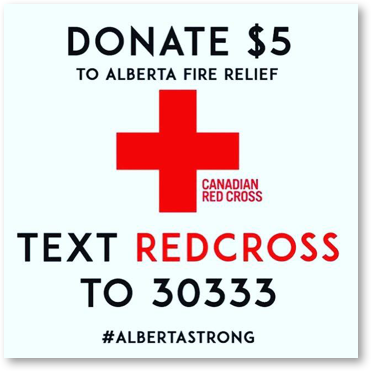 Canadian Red Cross's mobile text-to-donate campaign